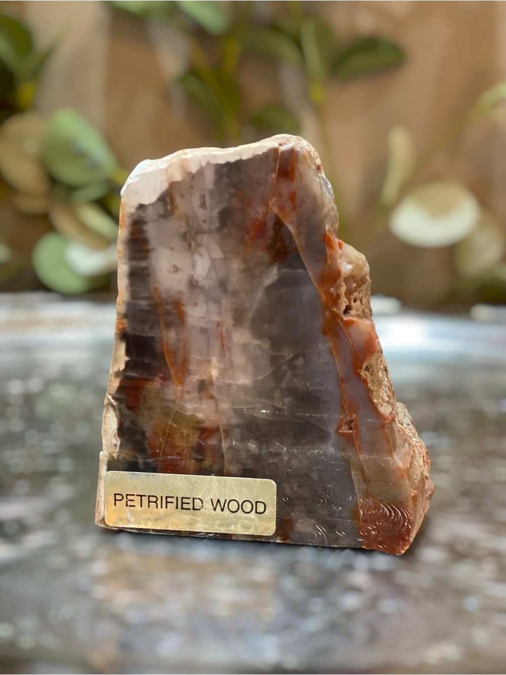 Vintage Petrified Wood Agatized Stand Up Disply Cut Polished 1.2lbs Colorful